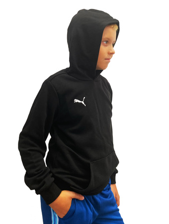 Bluza sportowa dziecięca Puma teamGoal [656711 03]